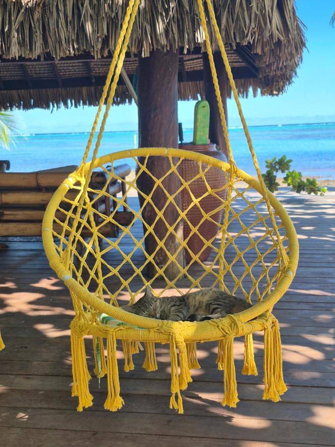 Maison d’hôte pour 2 personnes, avec piscine ainsi que jardin et vue dans Ha'apiti - 2