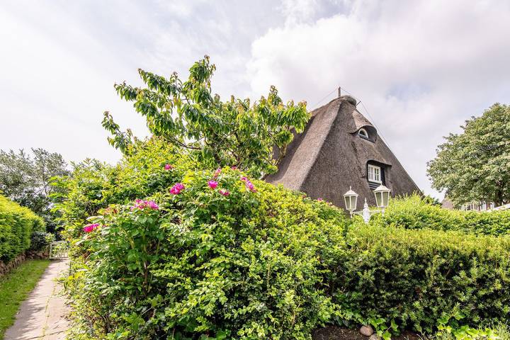 Ferienhaus für 6 Personen, mit Garten und Sauna - 1