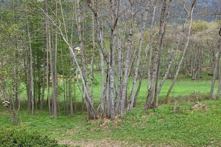 Gîte pour 4 personnes, avec balcon dans Val d'Allos - Le Seignus - 4