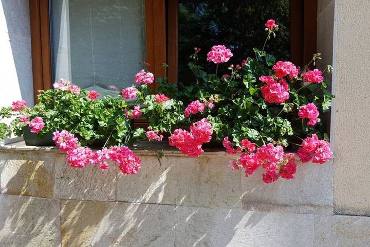 Chalet para 8 personas, con piscina además de jardín y jacuzzi en Gran Bilbao - 3