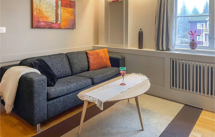 Gîte pour 5 personnes, avec jardin ainsi que sauna et terrasse dans Lillehammer - 4