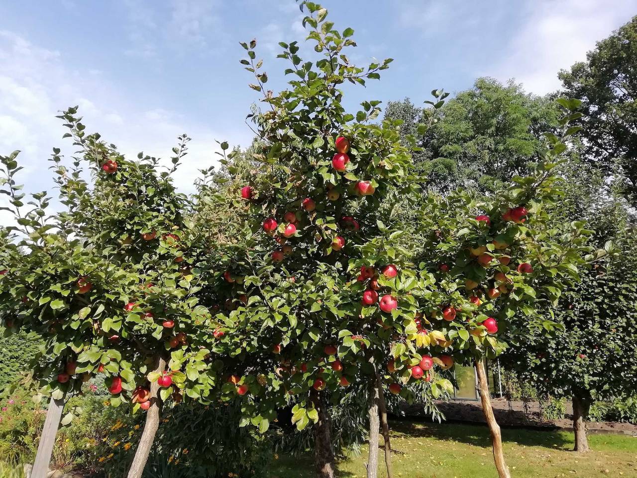 Ganze Ferienwohnung, Hotel Jackisch - Ferienwohnung Rose in Bärwalder See, Boxberg (Oberlausitz)