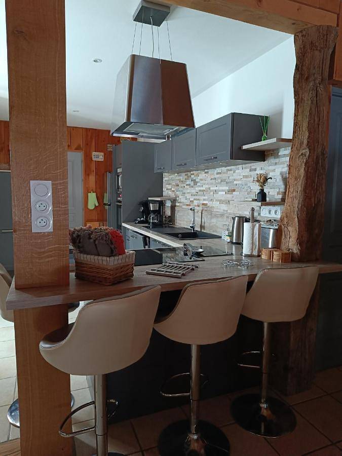 Location de vacances pour 9 personnes, avec piscine ainsi que jardin et vue à Thorigny - 4