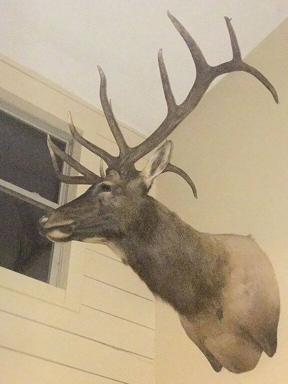 Vacation House for 5 Guests in Ohio, USA