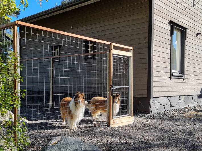 Käränkkä in Loma-Koli, Pielinen