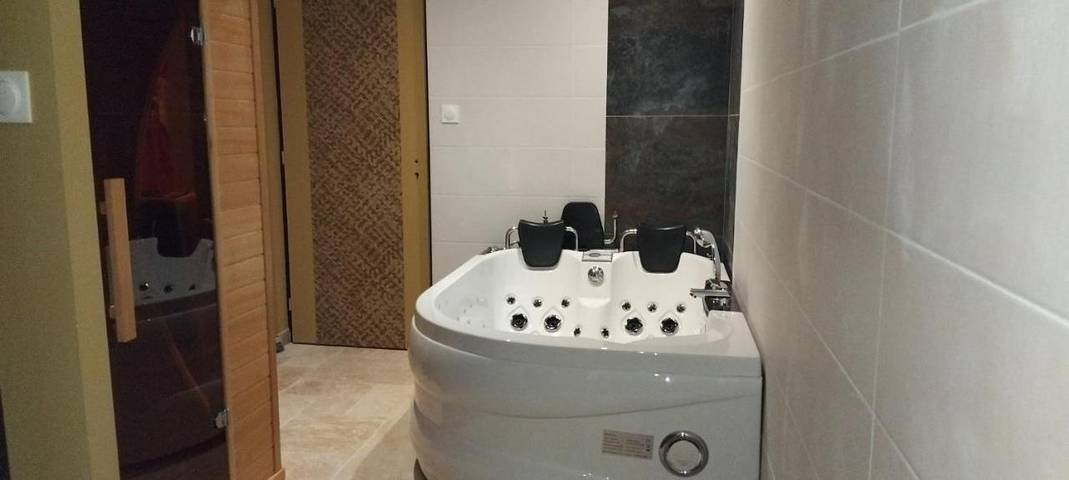 Maison d’hôte pour 7 personnes, avec jardin ainsi que sauna et jacuzzi au Parc Naturel Régional du Marais poitevin - 4