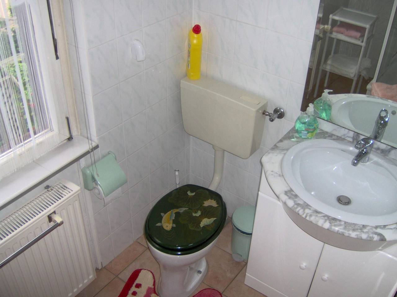 Ganze Wohnung, Resow in Tanne, Harzvorland