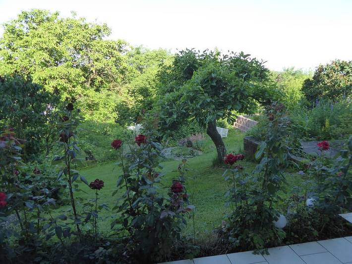Ferienwohnung mit 1 Schlafzimmer in Michelstadt, Main-Odenwald