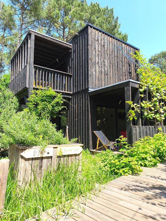 Gîte pour 4 personnes, avec vue et jardin, animaux acceptés dans Plage Moutchic - 3