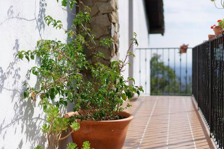 Location de vacances pour 2 personnes, avec terrasse et vue ainsi que jardin et piscine à Candeleda - 3