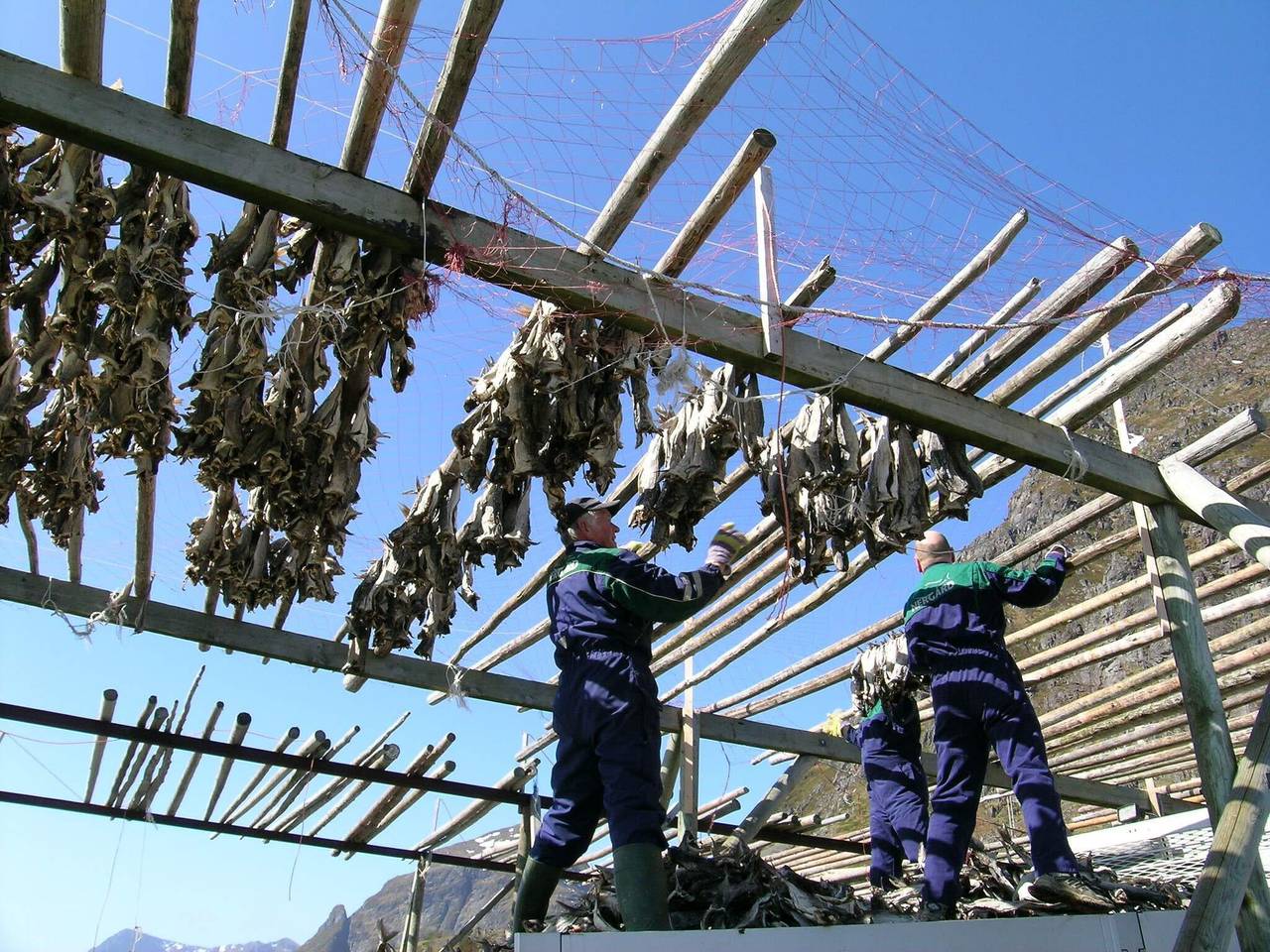 Hel lejlighed, 8 person holiday home in Mølnarodden in Mølnarodden, Flakstad