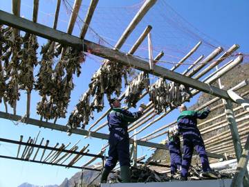 Hütte für 8 Personen in Mølnarodden, Flakstad, Bild 3