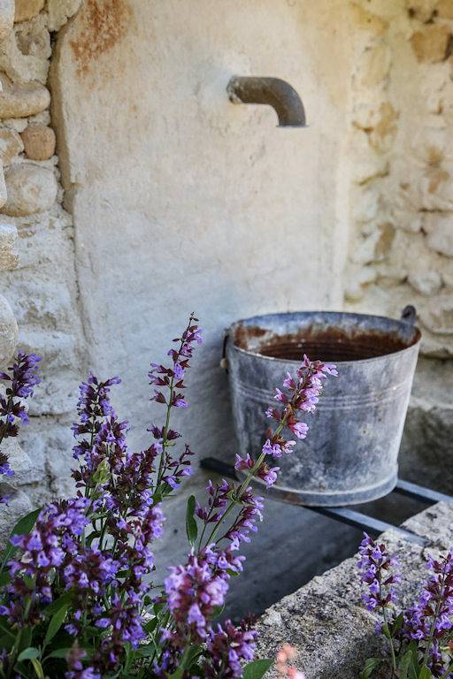 Gîte pour 5 personnes, avec jardin et terrasse, animaux acceptés dans le Vaucluse - 4