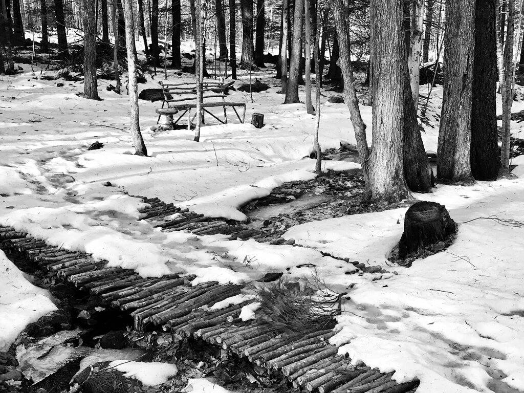 Gemütliches Häuschen im Wald versteckt in Townshend, Windham County