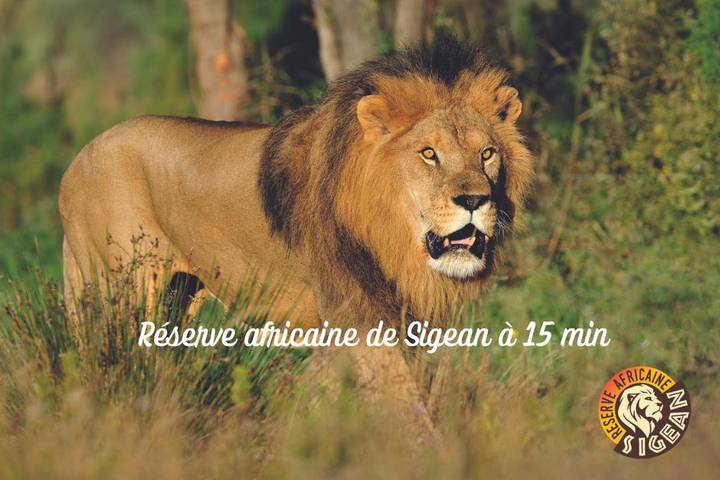 Camping pour 6 personnes, avec piscine ainsi que bassin pour enfant et jardin, animaux acceptés à Port-la-Nouvelle - 2