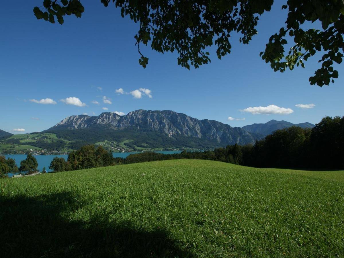 Ganzes Studio, Biobauernhof Nussbaumer in Nußdorf am Attersee, Bezirk Vöcklabruck