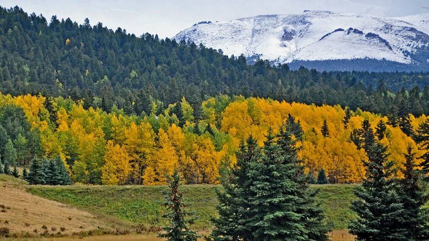 Log cabin for 6 people, with pool and hot tub as well as yard in Pikes Peak