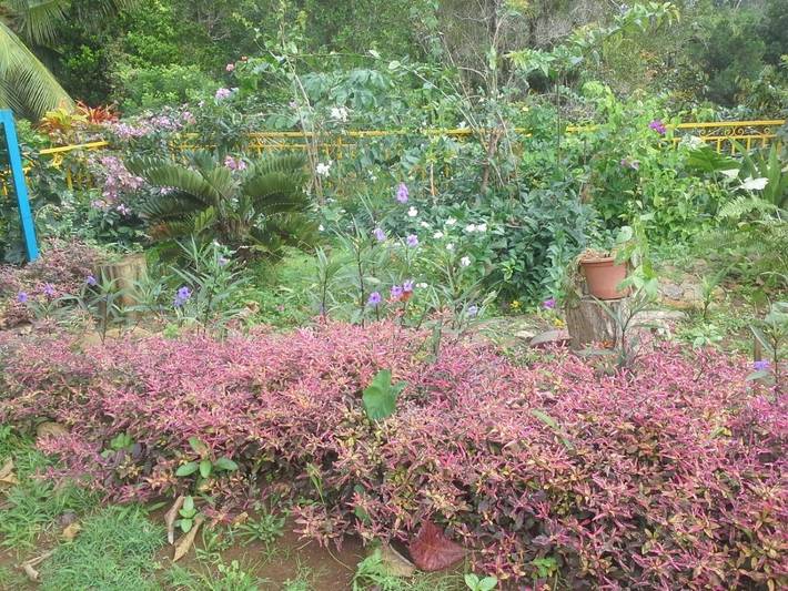 Gîte pour 3 personnes, avec jardin et vue à Le Robert - 3