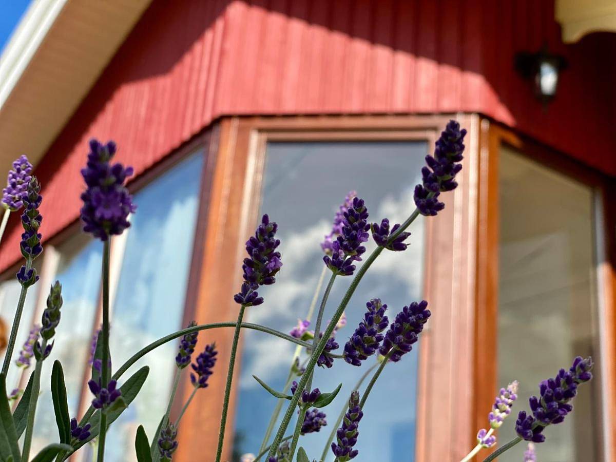 Two-Bedroom House in Geestland, Cuxland