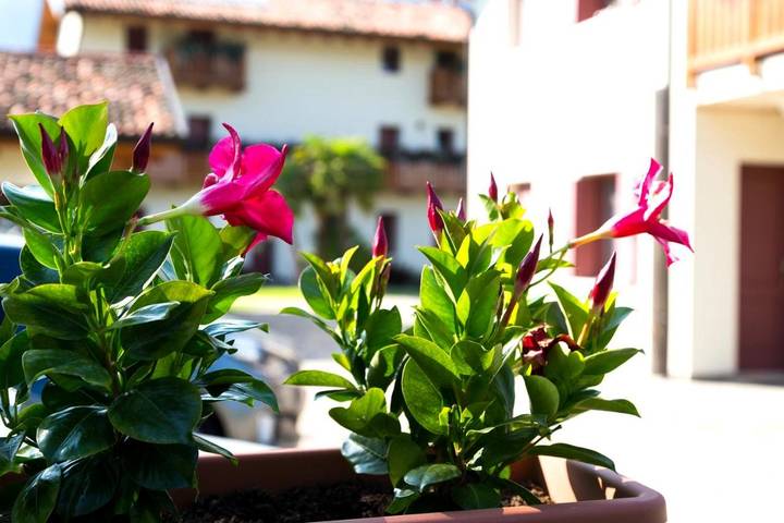 Gîte pour 9 personnes, avec jardin et piscine ainsi que bassin pour enfant et vue à Polcenigo - 4