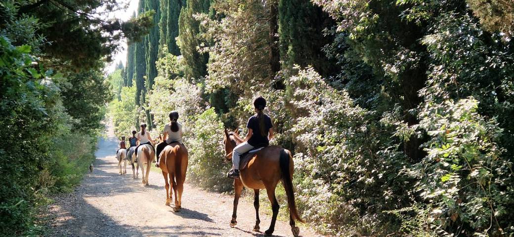 La Rugiada – Farm Stay with View of Siena in Monteroni d'Arbia, Siena Province