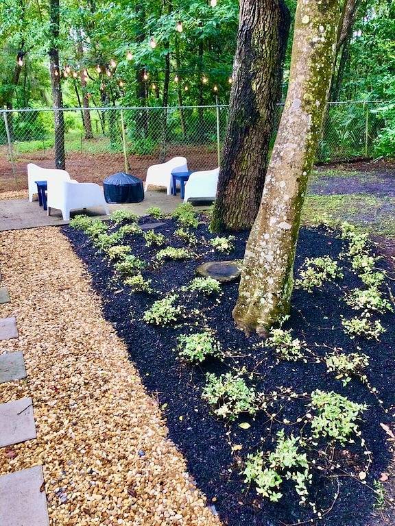 Pet Friendly Studio with Tons of 5 Star Reviews in Jacksonville, Duval County