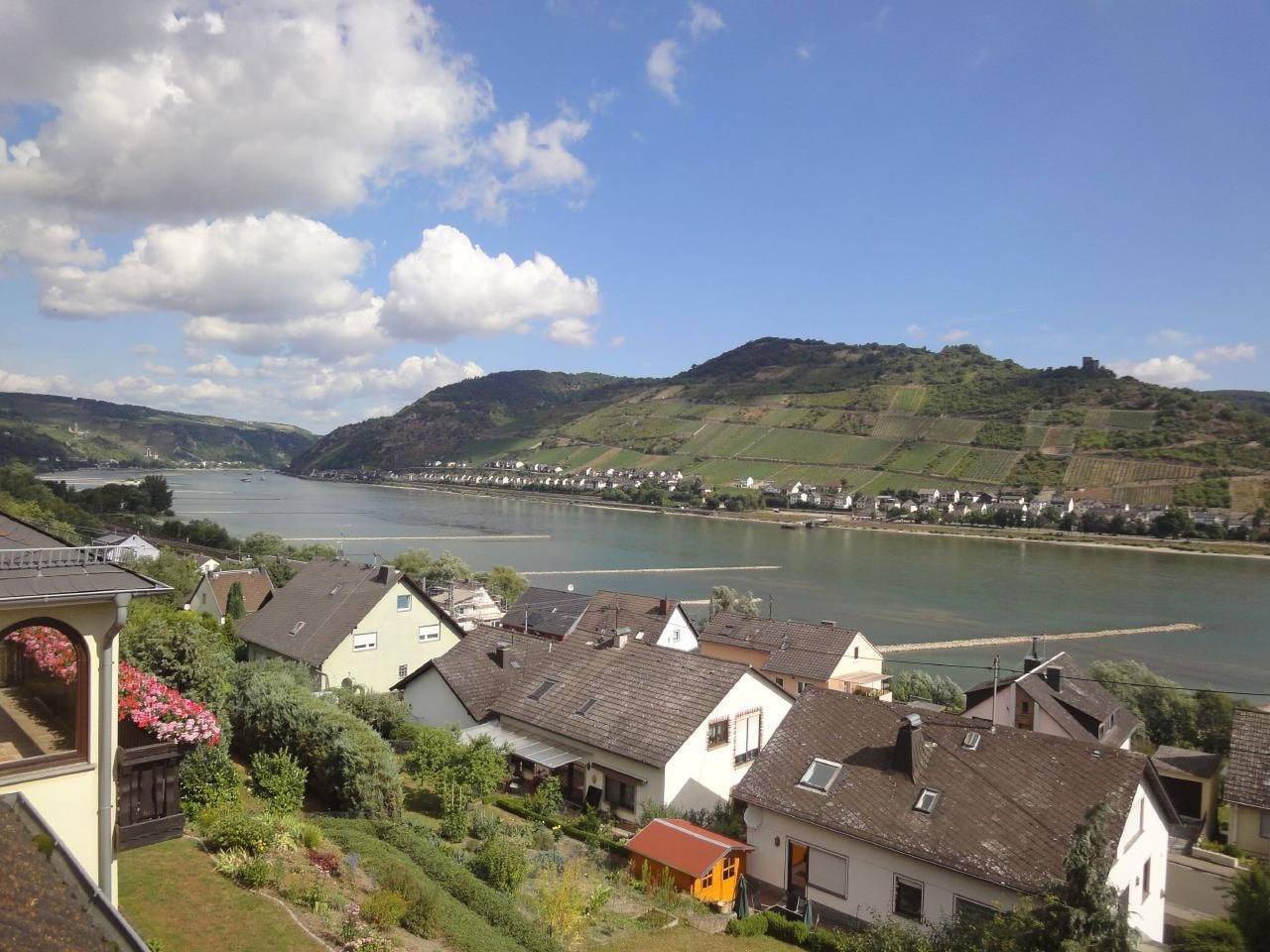 Ganze Wohnung, Rheinblick in Oberdiebach, Landkreis Mainz-Bingen