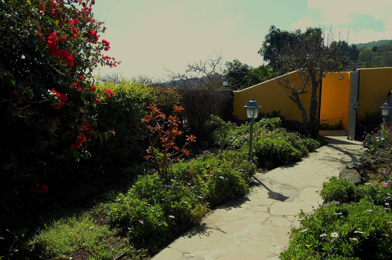 Casa Rural solo adultos con piscina in El Rosario, Tenerife Sur