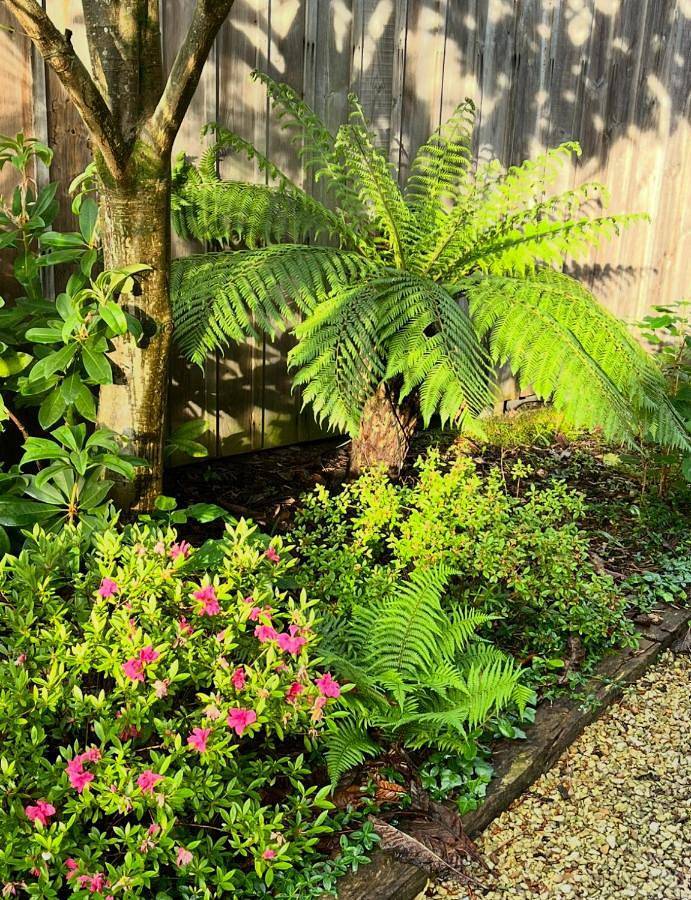 Chambre d’hôte pour 4 personnes, avec vue ainsi que terrasse et jardin au Cap Ferret - 2