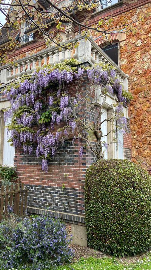 Location de vacances pour 2 personnes, avec jardin et terrasse à L'Aigle - 2