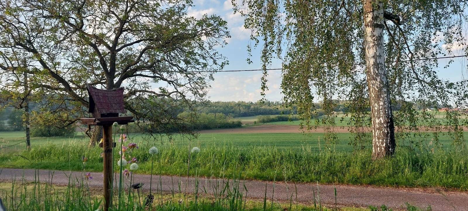 Gite de marinier: Uniek verblijf op een woonboot in de Elzas, foto 8