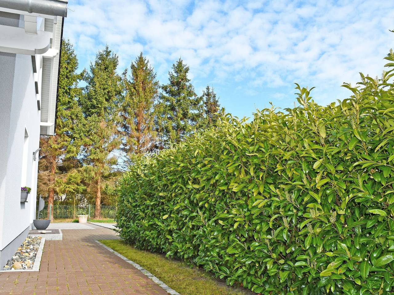 Ganze Ferienwohnung, Ferienwohnung Sellin mit Terrasse am Seepark in Sellin, Rügen