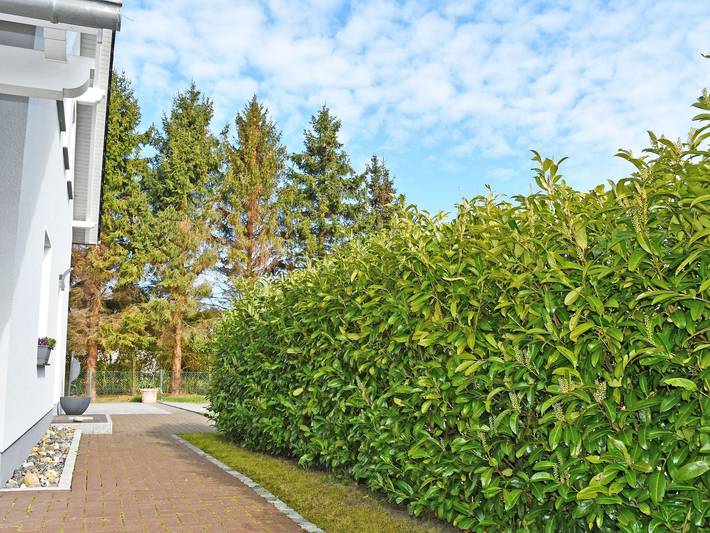 Ferienwohnung für 4 Personen, mit Garten und Terrasse in Sellin - 4