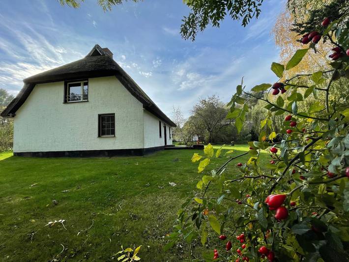 Ganze Ferienwohnung, Ferienhaus mit Reetdach - Hol - Fh Reetdach Waase in Waase, Ummanz