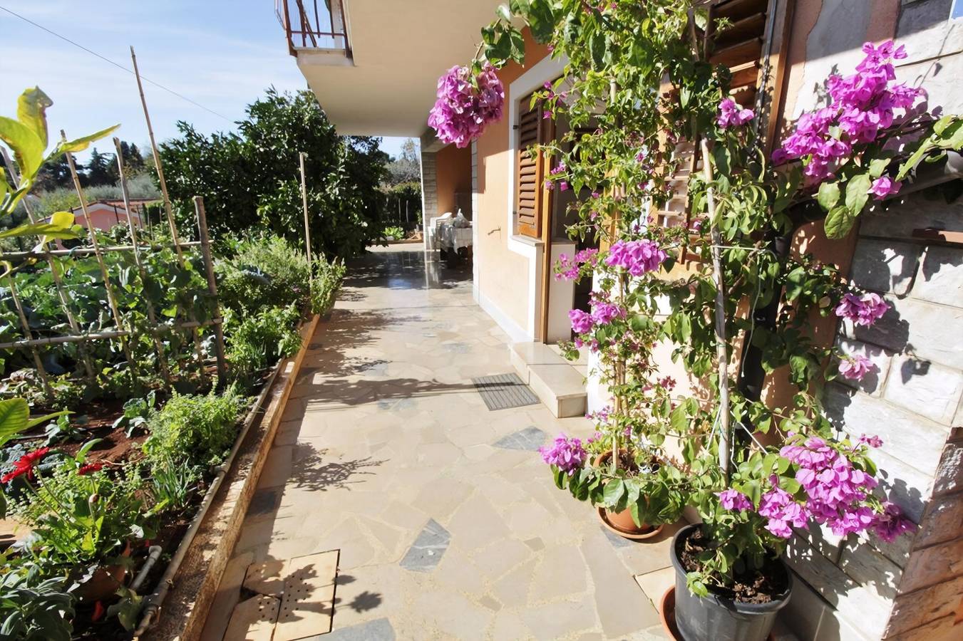 Appartement entier, Apartments Marija Savudrija in Umag, Région d'Umag
