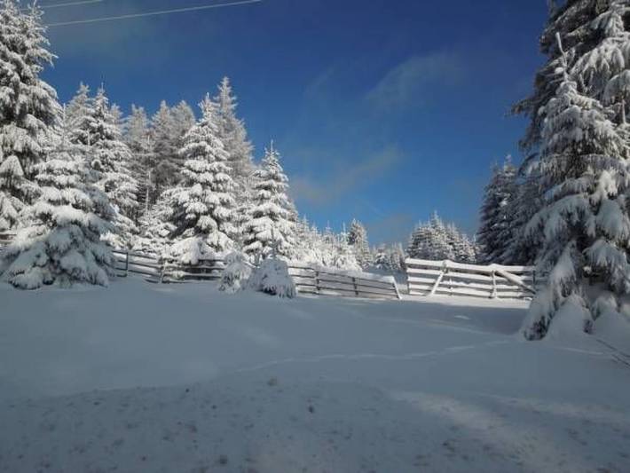 Chalet für 3 Personen, mit Garten in Braunlage - 4