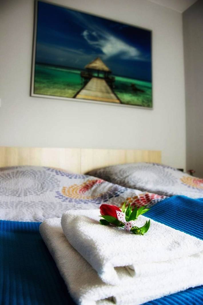 Apartament wakacyjny dla 3 osób, zwierzęta dozwolone w Uniejów