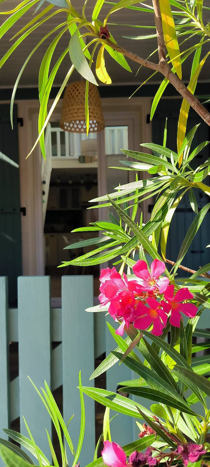 Maison de vacances pour 6 personnes, avec terrasse, animaux acceptés