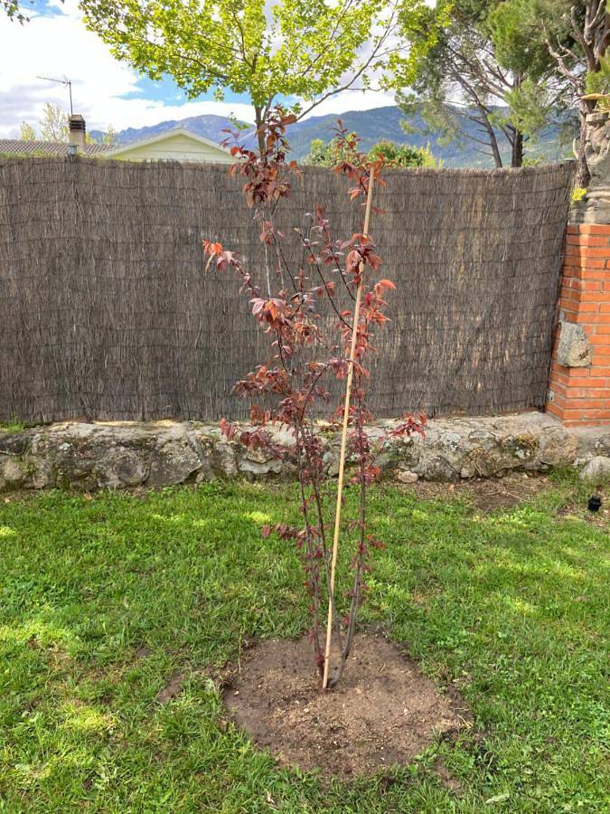 Location de vacances pour 9 personnes, avec piscine ainsi que jardin et vue, animaux acceptés à La Adrada - 2