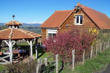 Chalet pour 14 personnes, avec piscine ainsi que terrasse et jardin dans le Cantal