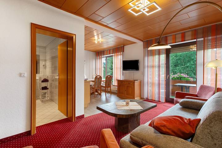 Ganze Wohnung, Haus Schönblick - "Appartment 10" mit Bergblick, Balkon und Wi-Fi in Willingen, die Mittelgebirge