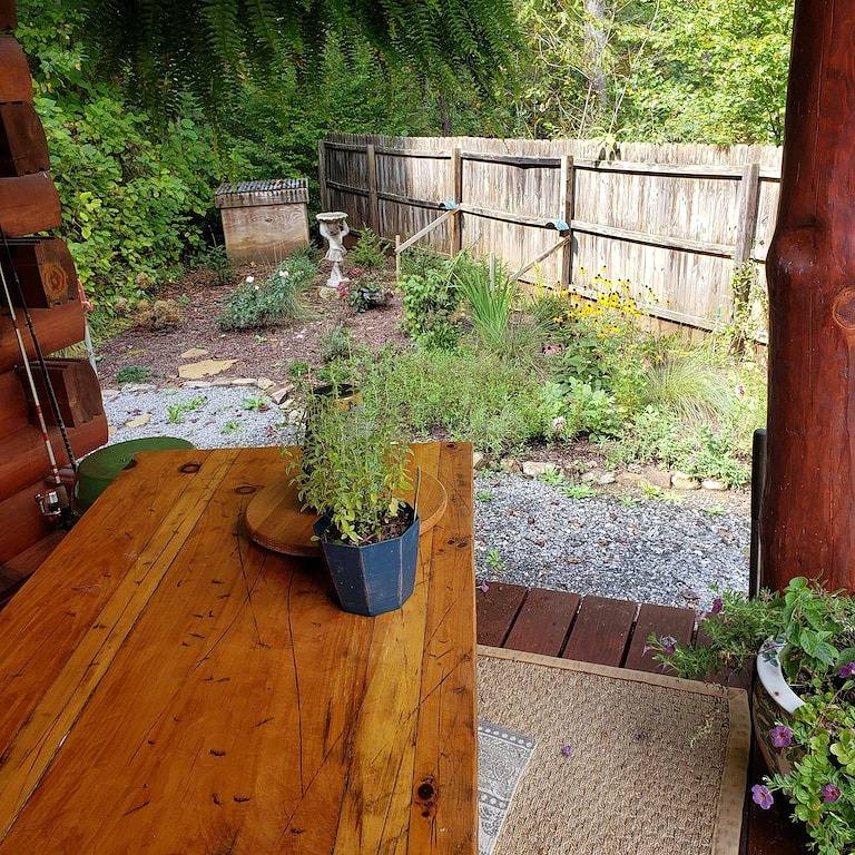 Moonlight Ridge - a wonderful little log cabin on 4 wooded acres in Blue Ridge Parkway, Jackson County