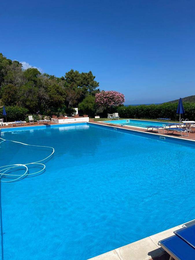 Appartamento per 4 persone, con piscina e terrazza, con animali domestici in Procchio