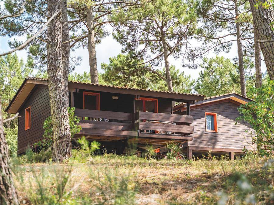 Domaine Les Sentes Carcans - Maubuisson - Chalet 4 personnes in Carcans, Région de Lesparre-Médoc