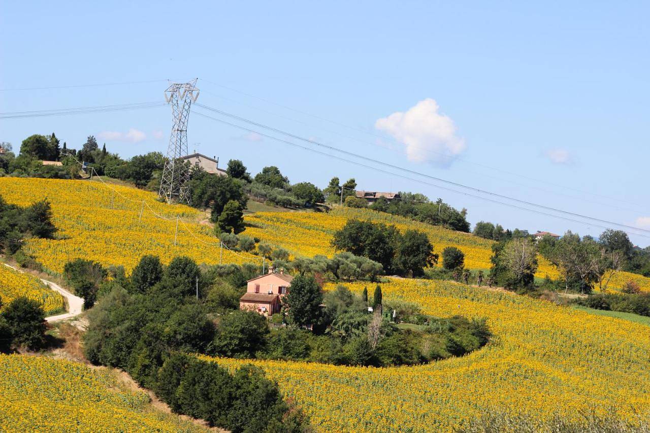 Double Room with Pool View in San Costanzo, Valle del Metauro
