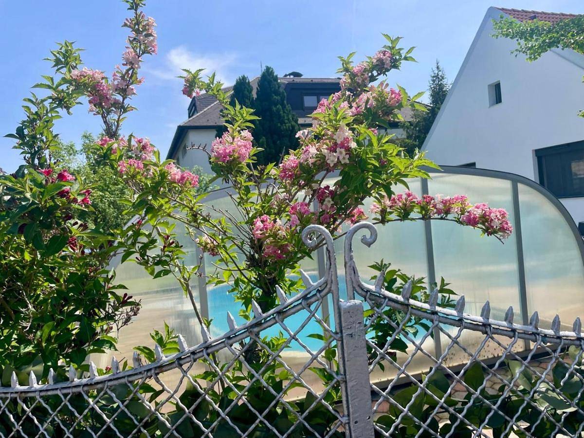 Villa in Vienna in perfect Situaton near Vic and Donau Park with Pool and private Garden sleeps 4 with 2 bedrooms, kitchen and livingroom and bath and private parking in Floridsdorf, Wien