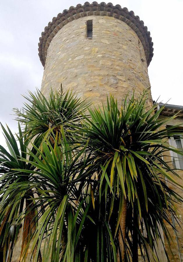 Gîte pour 2 personnes, avec vue ainsi que jardin et piscine, animaux acceptés à Taurize - 3