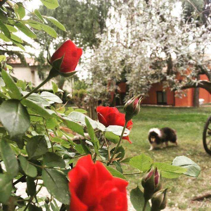 Location de vacances pour 4 personnes, avec jardin et vue à Bassano del Grappa - 4