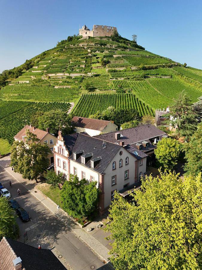 Hôtel pour 4 personnes, avec terrasse, animaux acceptés