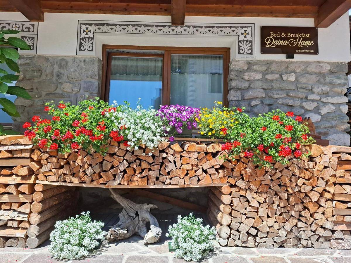 B&B Daina Hame in Sappada, Karnischer Hauptkamm